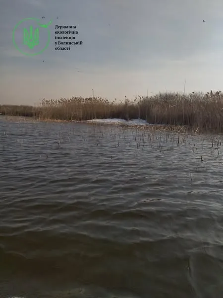 На Ковельщині з озера витягнули 400 метрів браконьєрських сіток (фото)