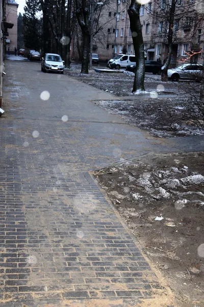 Як змінився колишній квітковий ринок в центрі Луцька (фото)