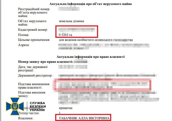 СБУ арештувала майно Дмитра Табачника (фото)