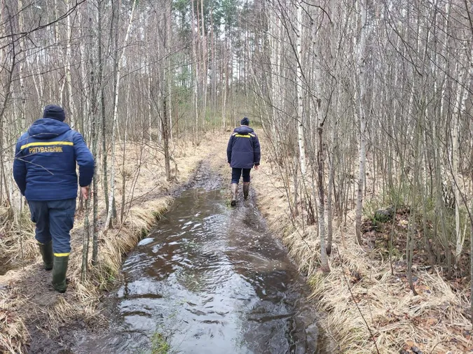 Роботи завтра продовжать: на Камінь-Каширщині тривають пошуки зниклої 17-річної дівчини (фото)