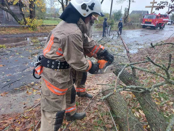 На Камінь-Каширщині дерево впало на дорогу (фото)