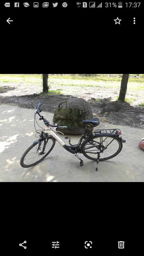 У відомого лучанина вкрали велосипед (фото)