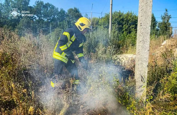 Хтось підпалив траву: рятувальники розповіли деталі пожежі під Луцьком