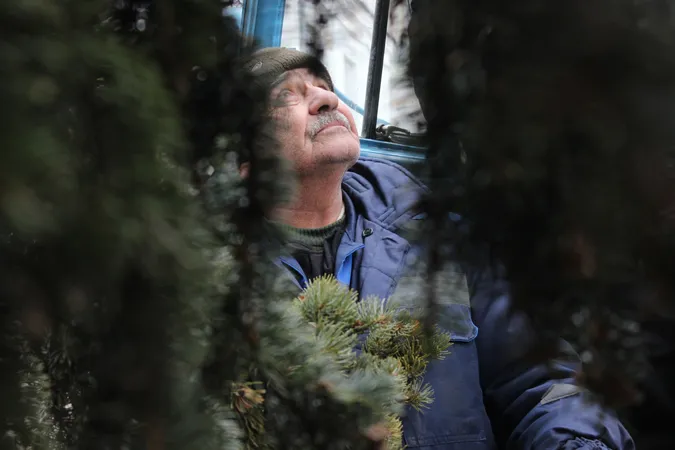 Історії навколо ялинки: хто і як прикрашає головні дерева міста (частина 1)
