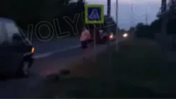 У селі під Луцьком «не розминулись» три автівки (відео)