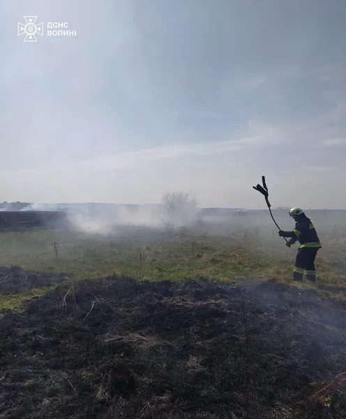 Вогонь сунув на ліс та будинки: у Луцькому районі горіли 3 гектари чагарників (фото)
