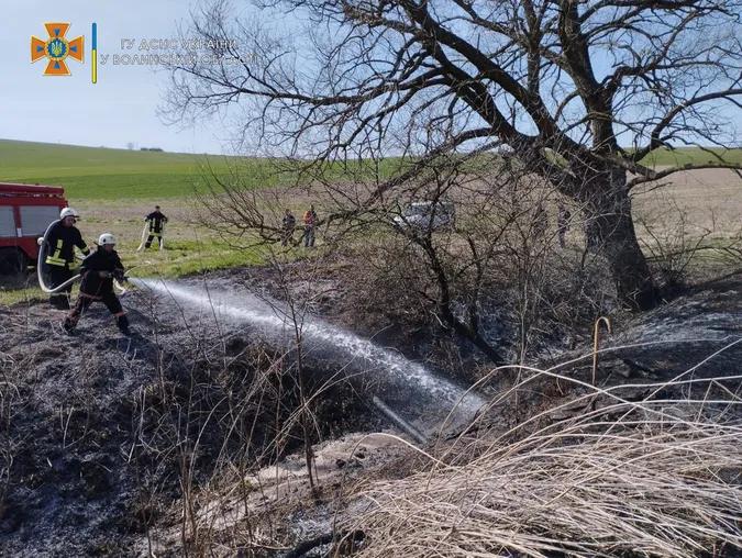 Понад 13 гектарів: у Луцьку і на Волині горіли чагарники й суха трава (фото)