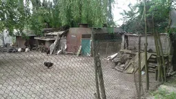 У луцькому парку демонтували... курники (фото)
