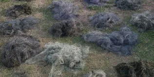 Понад 2 кілометри сіток: у заказнику на Ковельщині виявили браконьєрські знаряддя лову