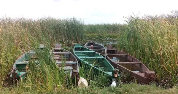 Село з жителями провалилося під землю і стало озером: де на Волині є легендарна водойма