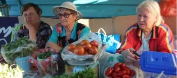 Податкова взялася за городи: кому за продаж яблук, карптоплі й огірків загрожує штраф
