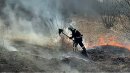 Понад 244 гектари випаленої землі: ДСНС Волині б’є на сполох через масові підпали трави (відео)