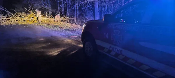 На Ковельщині серед дороги впало дерево і заблокувало рух: працювали рятувальники