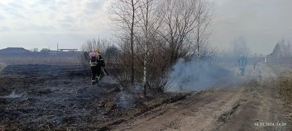 На Волині чоловік ледь не спопелив будинок сусідам, коли палив траву (фото)