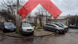 У Луцьку показали любителів паркуватися на газонах (фото)