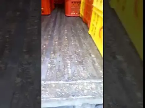 Хліб луцького виробника возять у брудних машинах? (відео)