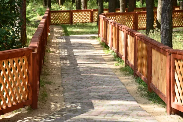 Лісівники соціальні: подорож рекреаційними пунктами Волині (фото)