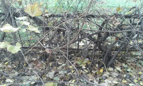 Муніципали зносять паркани у луцьких дворах (фото)