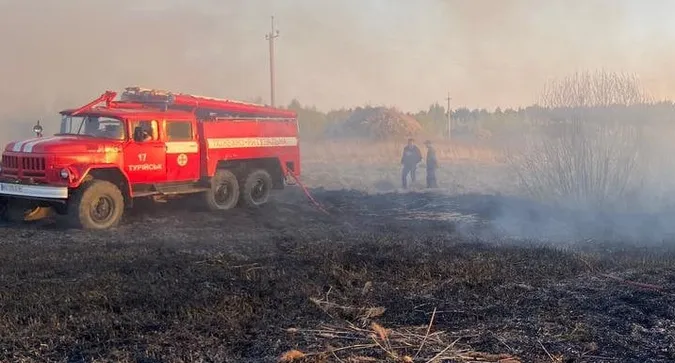 У Турійську виникла пожежа на площі три гектари (фото)