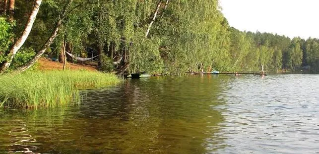 Серед лісів Волині ховається озеро з прозорою водою та рідкісними птахами (фото)