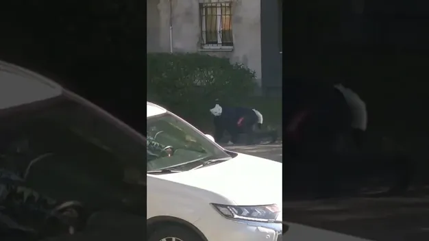У Луцьку зʼявилися перші квадробери (відео)