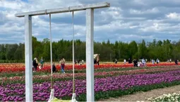 Відомий луцький фотограф провів екскурсію «Волинською Голландією» та зазнімкувався з панянками (відео)