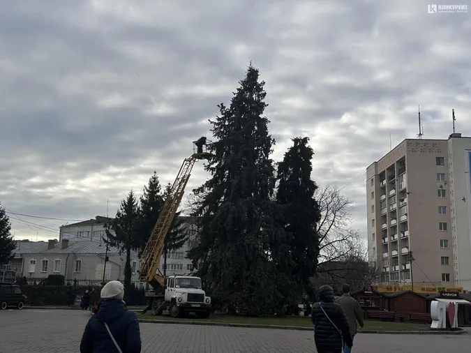 Головні ялинки Луцька вже почали прикрашати (фото)