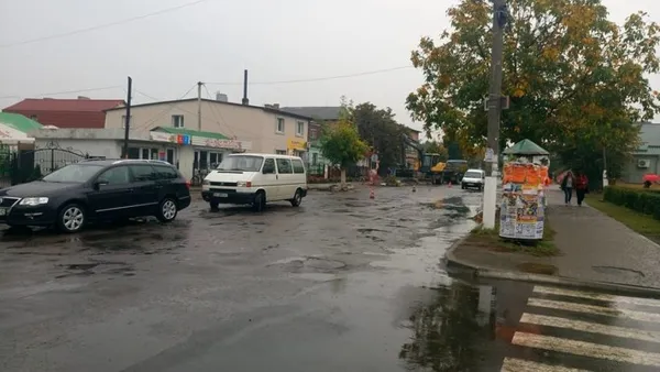 У Ківерцях спиляли «здорові» дерева, які видали за сухі (фото)