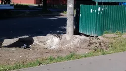 На Львівській розгребли звалище біля смітників (фотофакт)
