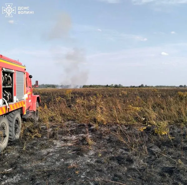 Горіли суха трава і торф: на Волині упродовж 13 годин гасили пожежу (фото)