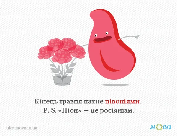 Не «піони»: як правильно називати весняну королеву квітів