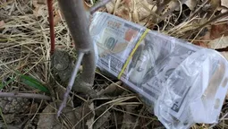 За контрабанду і торгівлю кокаїном волинянину загрожує 12 років (фото)