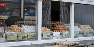 Кури линяють, ціни ростуть: чому на Волині дорожчають яйця (відео)