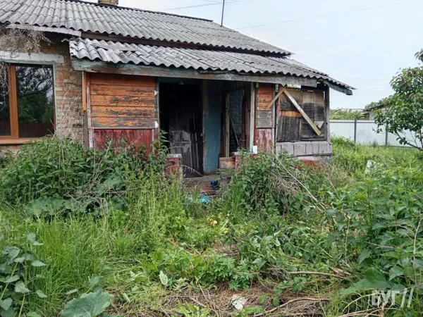 Руїна, холод і грибок: у місті на Волині занедбана квартира отруює життя сусідів (фото)
