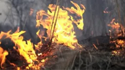 На Волині від початку року зафіксували три пожежі в екосистемах (відео)