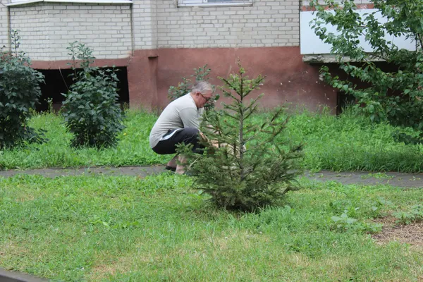 Знущався над хворим собакою: активісти навідалися до лучанина (фото, відео)