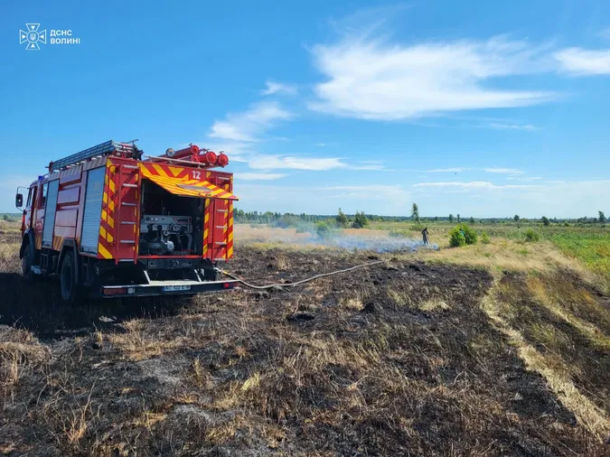 Вогонь охопив півтора гектара: на Волині горіли суха трава, чагарники та торф’яник (фото)