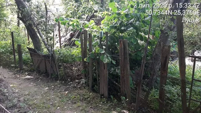 Квіти в шинах, грядки, паркани: в Луцьку – рейд муніципалів (фото)