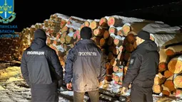 Збитків мільйони гривень: на Волині викрили незаконні вирубки деревини (фото)