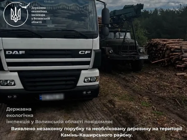 Пні, деревина без маркування і завантажена техніка: на Волині незаконно зрубали ліс (фото)