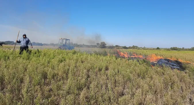 У Луцькому районі рятувальники виявили палія картоплиння (фото)