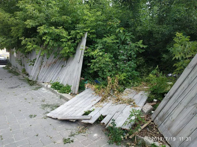 Будівельника змусили прибрати «джунглі» на Драгоманова в Луцьку (фото)