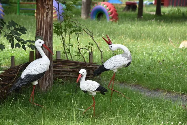 У Луцьку ремонтують заклади освіти (фото)