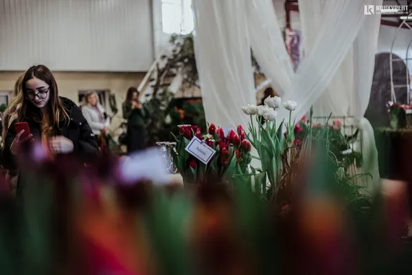 Armani, Dior та ванна у квітах: біля Луцька – pre-party «Волинської Голландії» (фото)