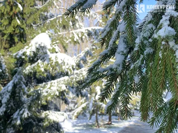 Вона чекає на вас морозного ранку у Луцькому парку (фото)