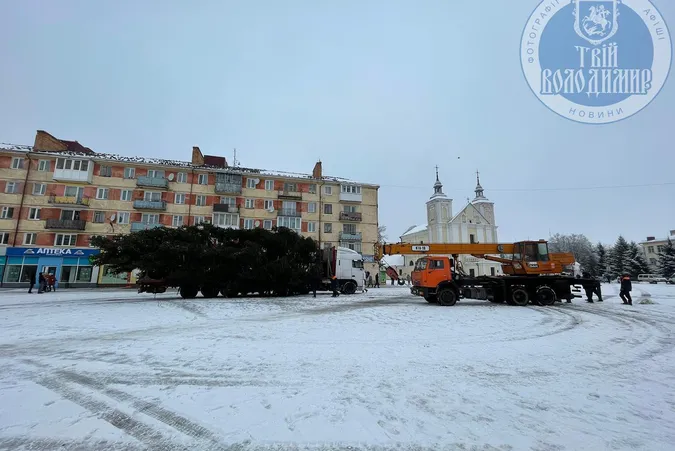 🎄 У Володимирі встановили головну ялинку міста (фото)