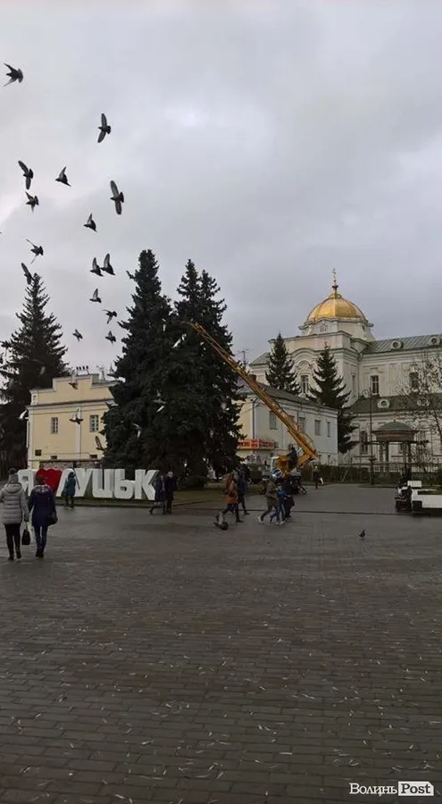 В центрі Луцька розпочали прикрашати головну ялинку