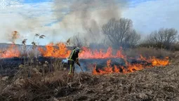 Волинь палає: 8 пожеж за день через недбалість (фото)