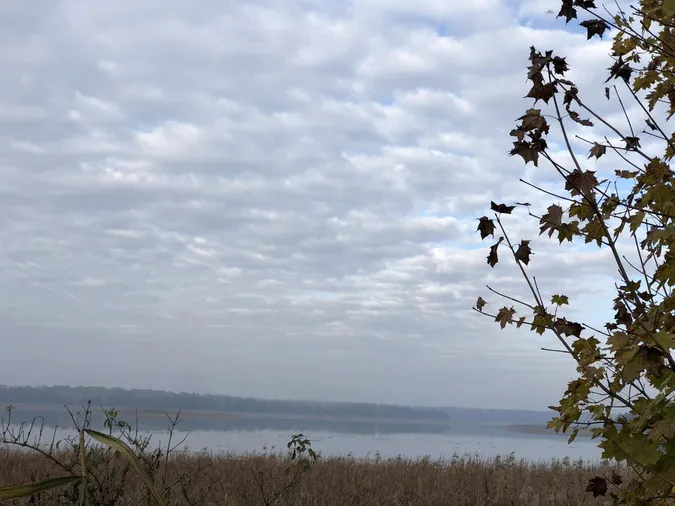 П'яте після Світязя: на Волині серед лісу причаїлось багате на рибу озеро (фото)