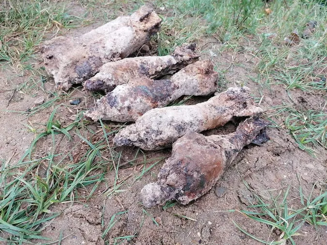 Іржава небезпека: на Волині знайшли міни часів минулої війни (фото)